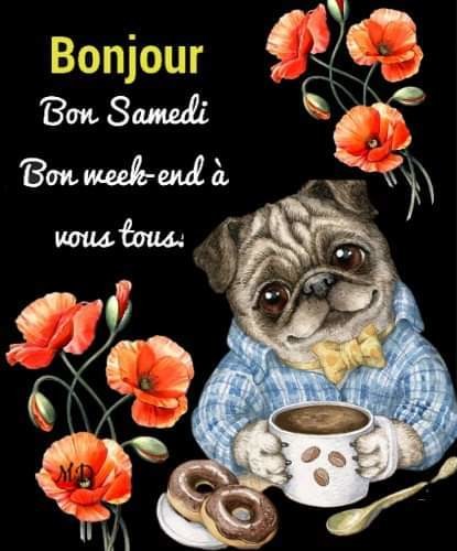 BON WEEK-END À VOUS TOUS MES AMIES ET AMIS