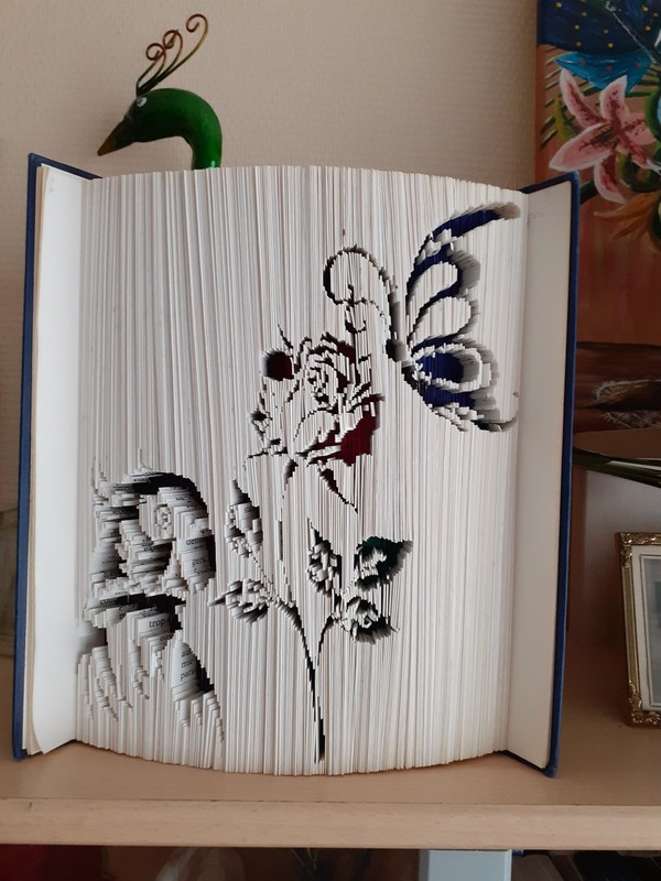 NOUVEAU LIVRE PLIAGE